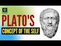 Understanding Plato's Concept of the Self