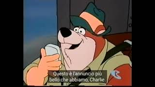 Gli Orsi Radioamatori C B BEARS SUBITA