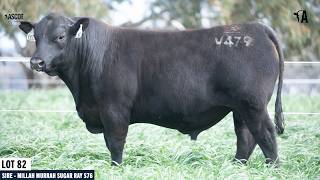 LOT 82: ASCOT VESSEL V479