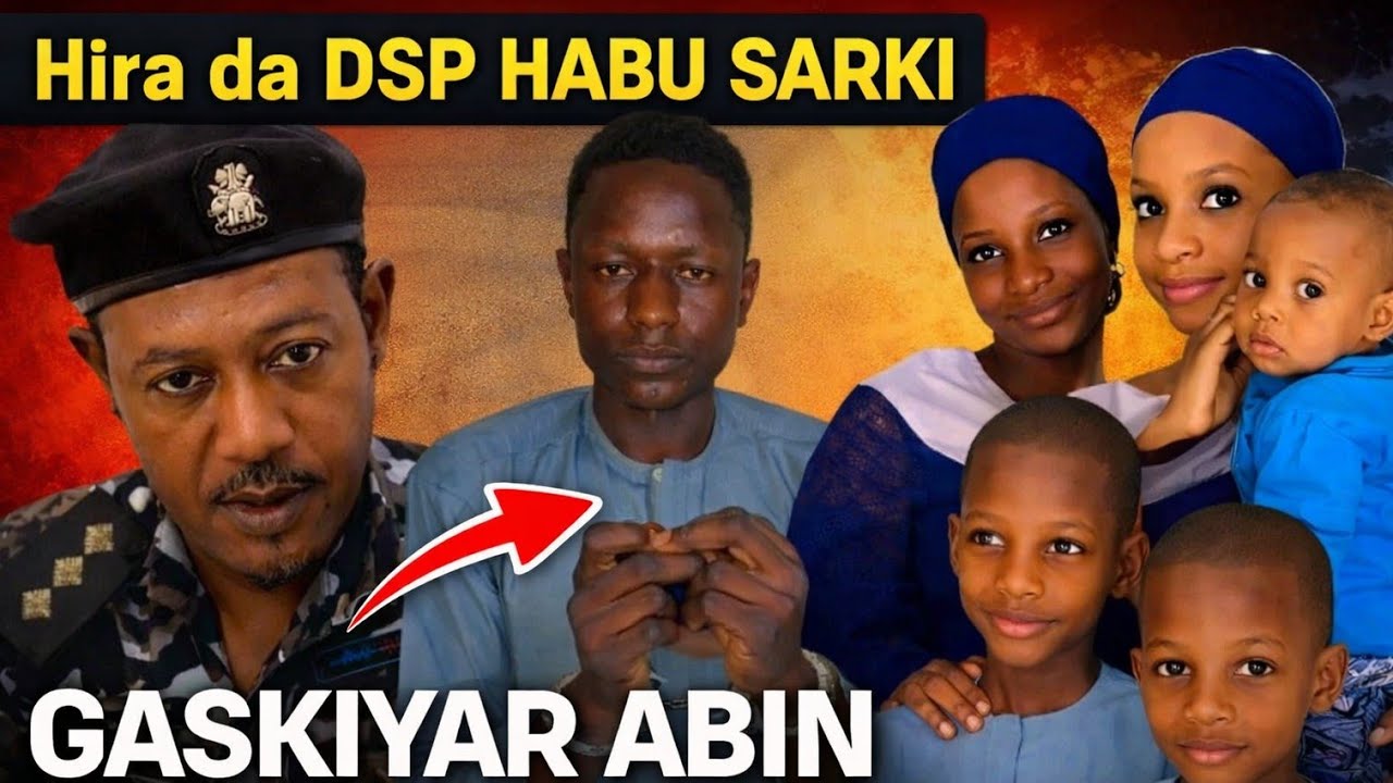 Hira da DSP Habu sarki