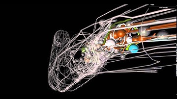 C. elegans connectome exploration via OpenSourceBrain
