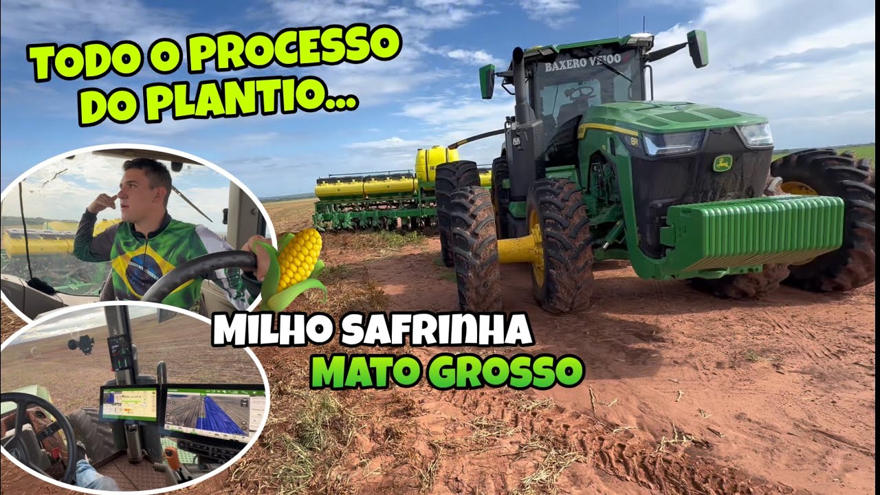 Pimenta plantando sozinho 😳😰😱