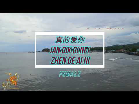 Zhen De Ai Ni [Cantonese] (真的爱你) Female Version - Karaoke mandarin with drone view