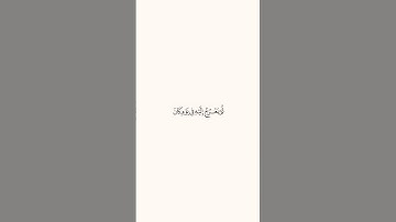 Sorat Al Sajdah - ايات من سورة السجدة