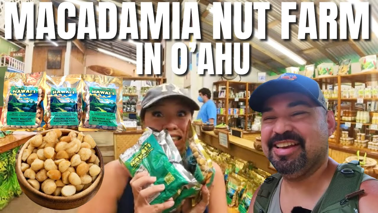 Trying FREE SAMPLES of MACADAMIA NUTS at Tropical Farms in HAWAI’I