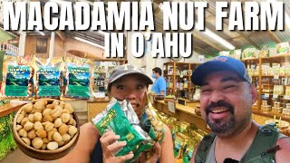 Celebrity Trying FREE SAMPLES of MACADAMIA NUTS at Tropical Farms in OAHU,HAWAII Wealth