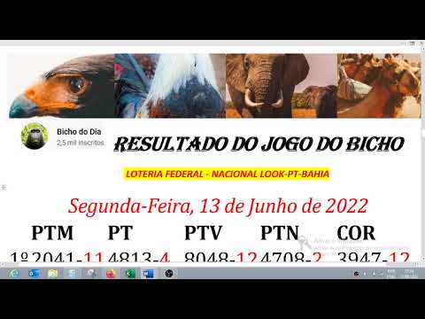 RESULTADO DO JOGO DO BICHO 13/06/2022 NACIONAL LOOK RIO BAHIA PARATODOS