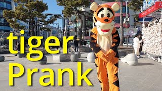Tiger Prank' 호랑이 ' in South Korea