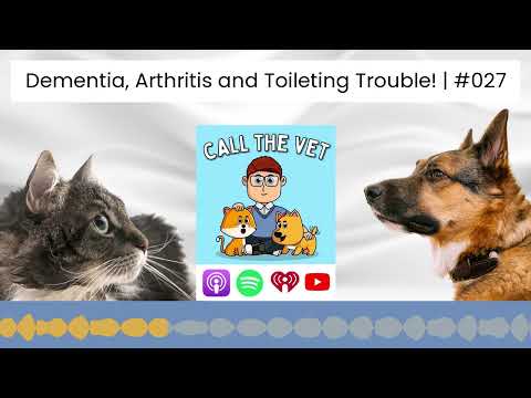 Dementia, Arthritis and Toileting Trouble! | #027
