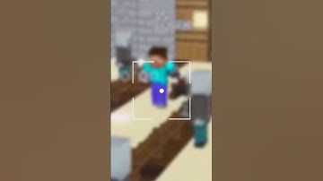 Minecraft don