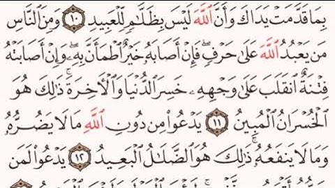 الصفحة رقم 333 الشيخ ماهر المعيقلي - القرآن الكريم - Quran