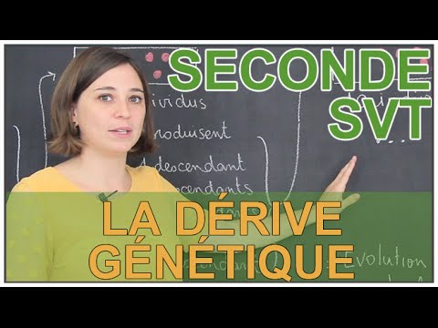 SVT Terminale : Le brassage génétique durant la Méiose | Doovi