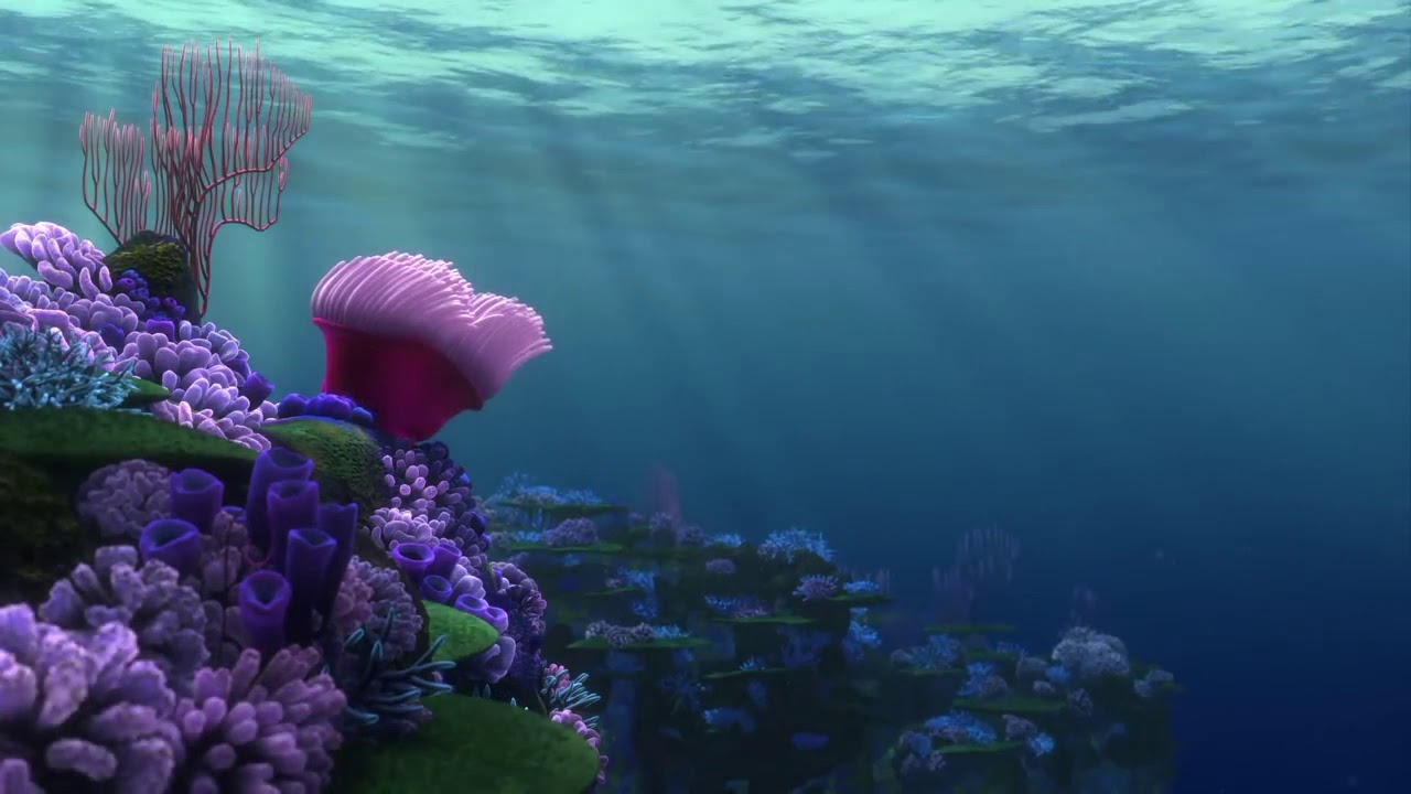 coral finding nemo