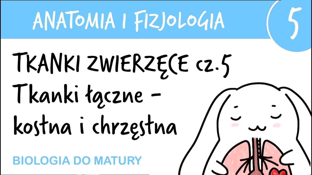 Tkanki Roślinne Test Klasa 5 Tkanki zwierzęce cz.5 - Kostna i chrzęstna - Anatomia i fizjologia 5