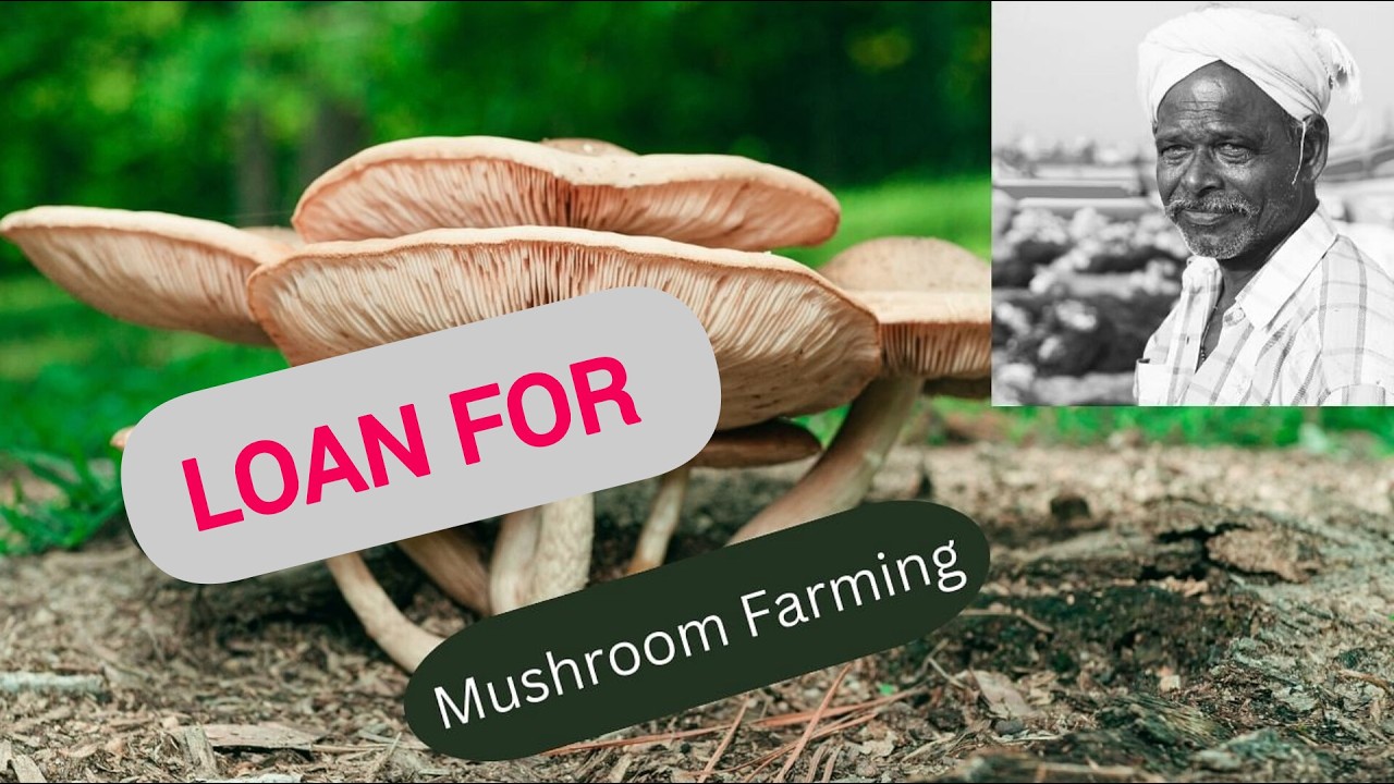 Loan For Mushroom Farming In India
