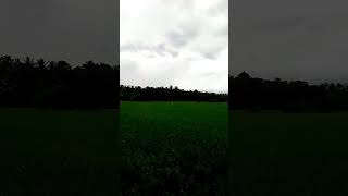 A green dome on? a beautiful rainy? morning⛈️?️ relaxing srilanka how travel music dasunsri