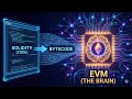 What Is The EVM And Why Is It So Important? | EVM Explained for Beginners