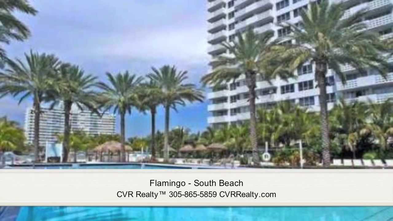 Flamingo - South Beach