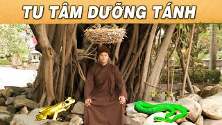 SỰ TÍCH VIỆT NAM➖TU TÂM DƯỠNG TÁNHPHIM CỔ TÍCH HAY NHẤT 2023SỰ TÍCH VIỆT NAM CÓ THẬTYÊU CỔ TÍCH