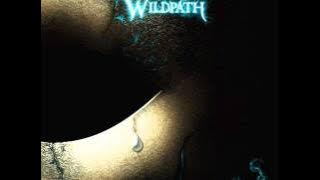 Wildpath - Dive (Orchestral Version)