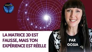 🌟 Matrice 3D : simulation ou réalité ? Brisons les limites de la 3D