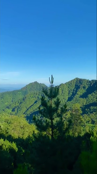 MENYUSURI JALAN EKSTRIM MENUJU PUNCAK | HALU STORY #shorts  #storyhalu #storyig #storywa