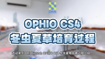 DMI Biotech OPHIO CS4 培育过程介绍