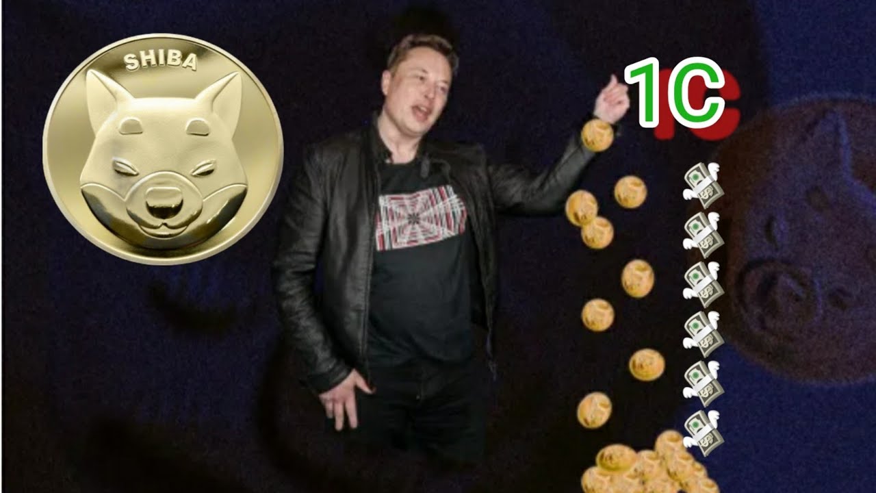 Will Elon Musk Make Shiba Hit 1c YouTube Will Elon Musk Make Shiba Hit 1c YouTube
