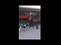 Dog Joining A Saxophone Street Artist By Howling Next To him