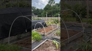 A Simple $20 Structure To Keep Your Garden Safe From Heat, Cold, Pests Update