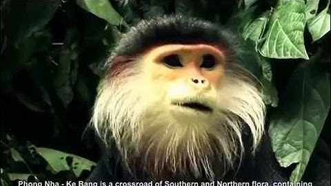 Việt Nam nỗ lực bảo tồn đa dạng sinh học