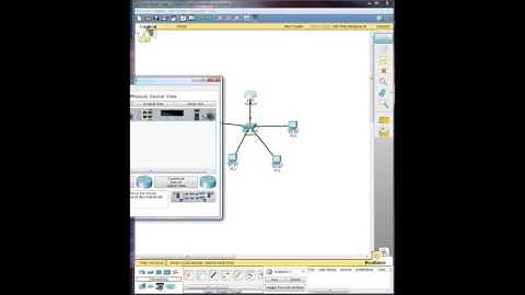 Activity 1.4.2-Creating Topologies