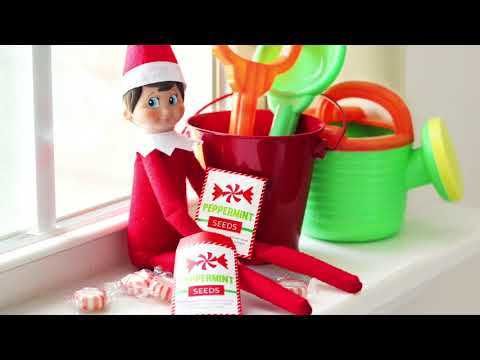 elf-on-the-shelf-printables-christmas-kit