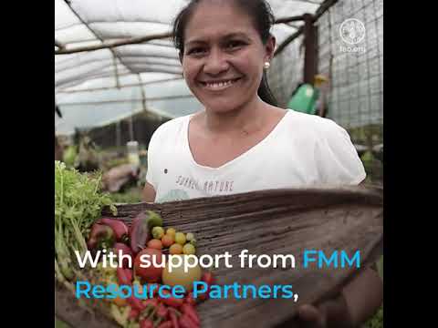 Flexible Multi-Partner Mechanism (FMM) Programme 2