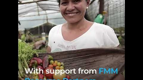 Flexible Multi-Partner Mechanism (FMM) Programme 2