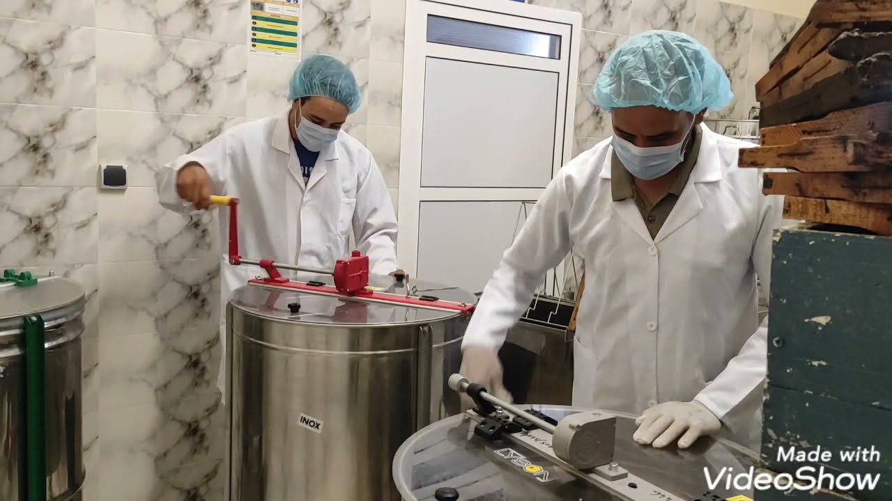 إنتاج عسل السدر في المغرب : التعاونية الفلاحية الصحراء