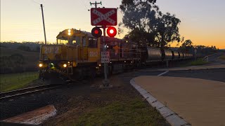 TasRail 2012 #55 train powering over Opossum Road TasRail 2012 #55 train powering over Opossum Road
