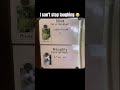I can’t stop laughing #cat #memes #funny #cool #cute #funnycute #fridge #magnet