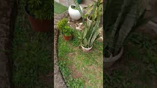 Pizza Barn, Near Uniam Lake, Meghalaya.