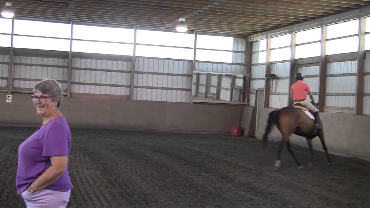 Luis Galindo jumping 4 y.o. Oldenburg gelding at Rolling Stone Farm