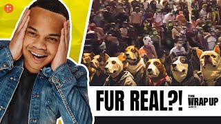 Brand Demonetized,School Says Whites Have No Culture,Protesters Identify as Dogs:9/22/23|The Wrap Up