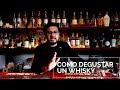 Whisky para principiantes: ¿Cómo degustar un buen whisky? (Cap.- 1) | LP4 Cigar Club