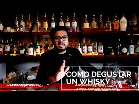 Whisky para principiantes: ¿Cómo degustar un buen whisky? (Cap.- 1) | LP4 Cigar Club