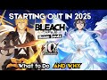 Bleach Brave Souls My Beginner39s Guide 2025