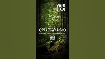 قرآن كريم❤️القارئ هيثم الدخين❤️(سورة يس)