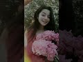 Колись була дівка як та ружа Cover Колись була дівка як та ружа Cover