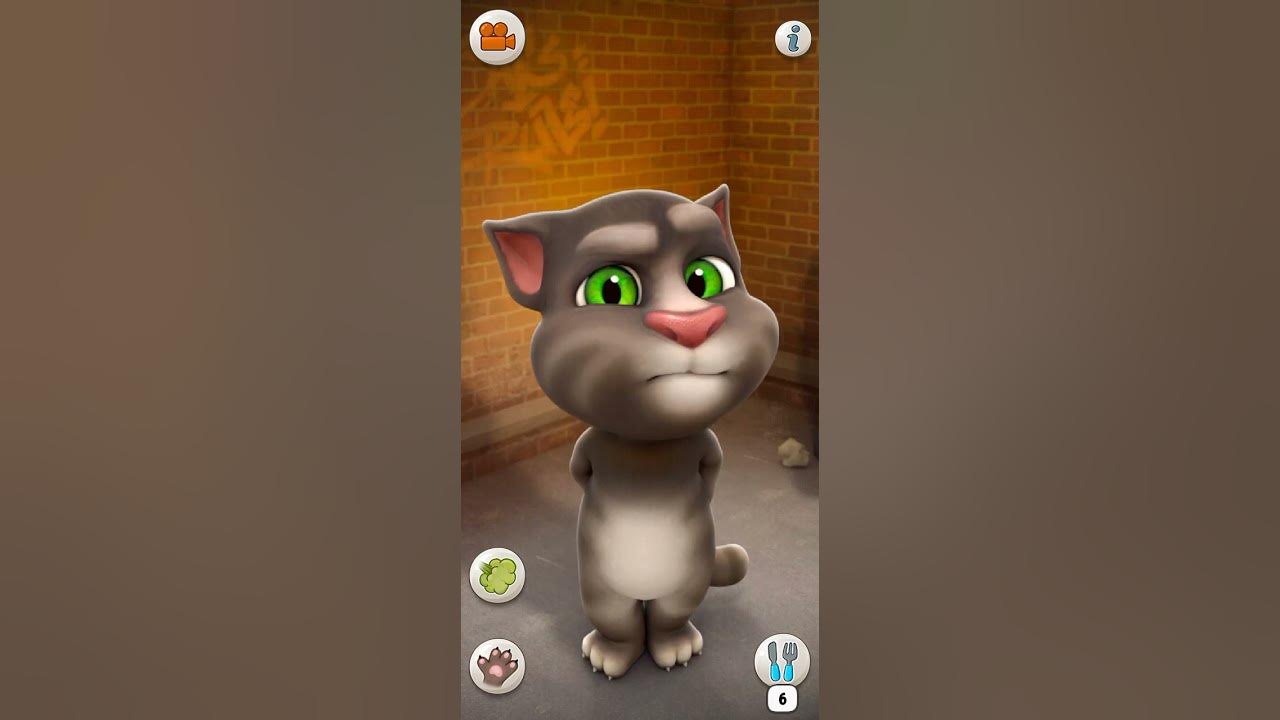 Talking Tom Cat  #1 Online Pet for PC, Talking Tom Cat Tips and