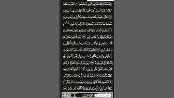 ماتيسر من سورة الأحقاف /محمد السامرائي #اكسبلور #المصحف #تيك_توك #لايك