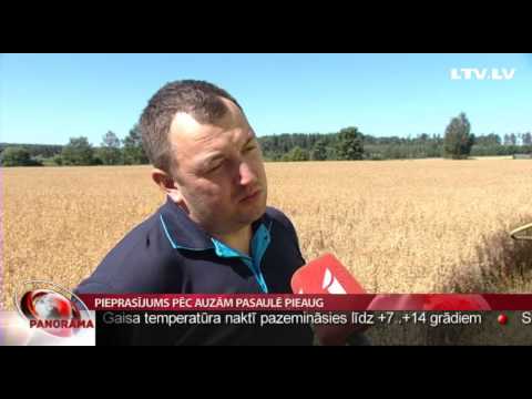 Video: Pieaugušo Cilmes Un Cilmes šūnu Cirkulācija - Vai Rezultātiem Var Uzticēties?