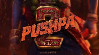 Pushpa 2 The Rise Begins ||scoop ||By public Creations ||Pakka Entertainment